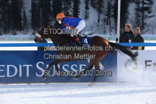 ET0Q0837 prot